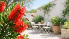Callistemon « rince-bouteille » : l’arbuste aux fleurs rouges qui réveille le jardin dès mai