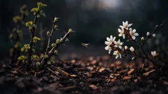 Planter une haie gourmande début mars pour faire revenir les oiseaux au jardin