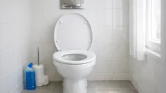 Nettoyer les WC sans galérer : les bons gestes contre le calcaire et les mauvaises odeurs